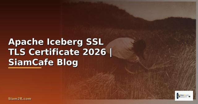 Apache Iceberg SSL TLS Certificate