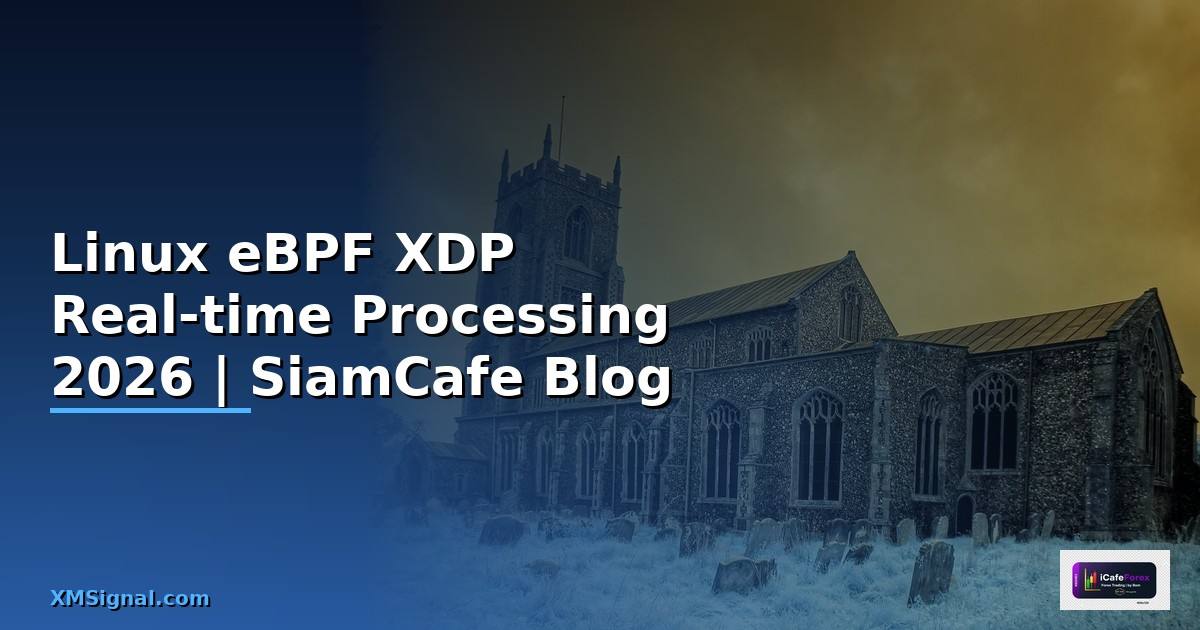 Linux eBPF XDP Real-time Processing