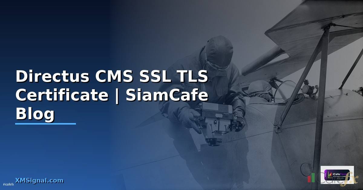 Directus CMS SSL TLS Certificate