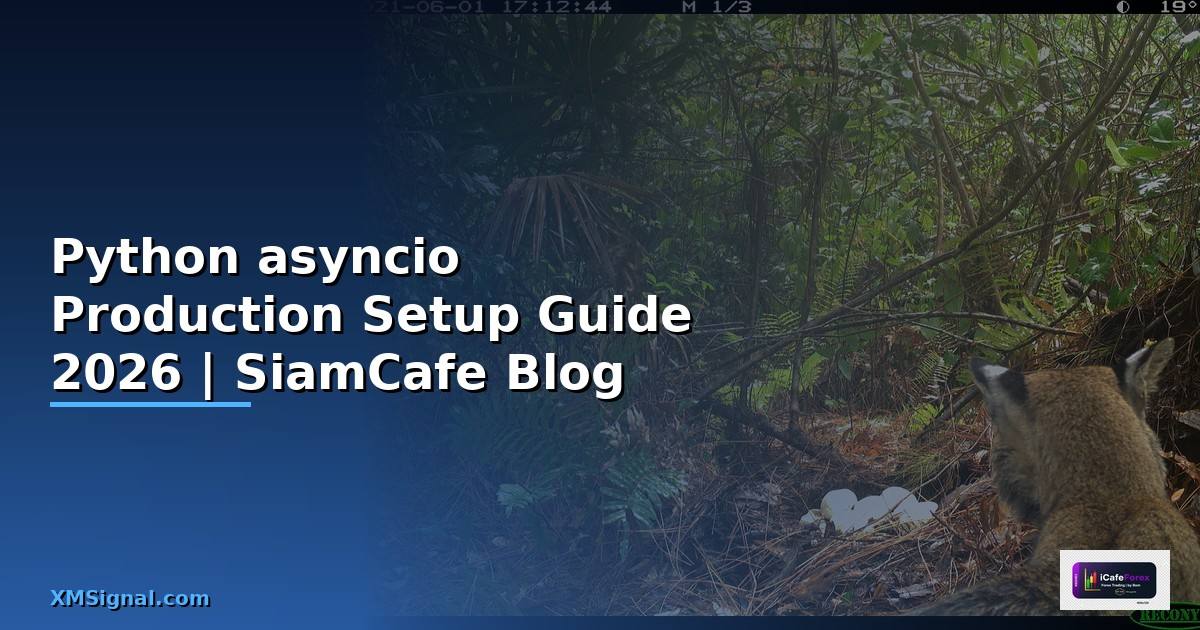 Python asyncio Production Setup Guide