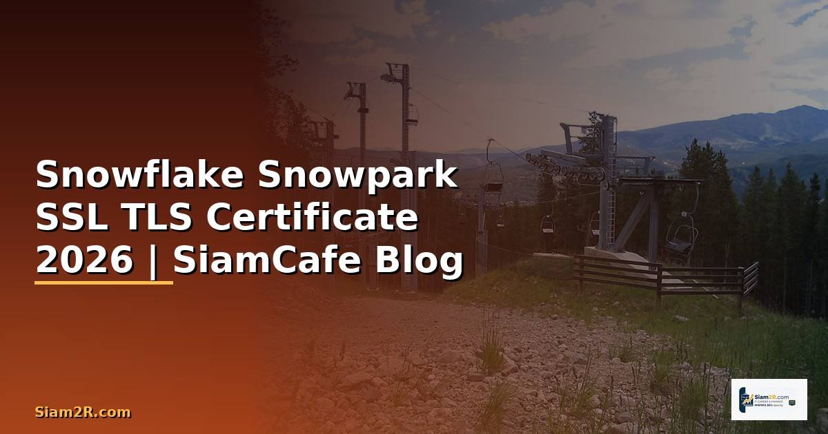 Snowflake Snowpark SSL TLS Certificate