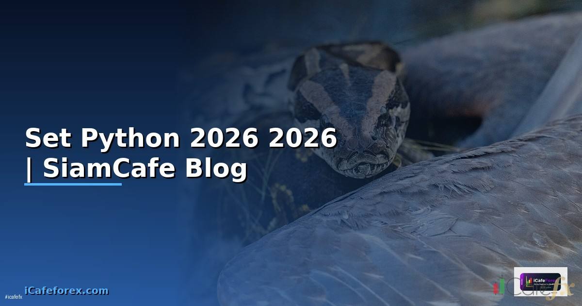 Set Python คืออะไร — คู่มือโปรแกรมมิ่ง 2026