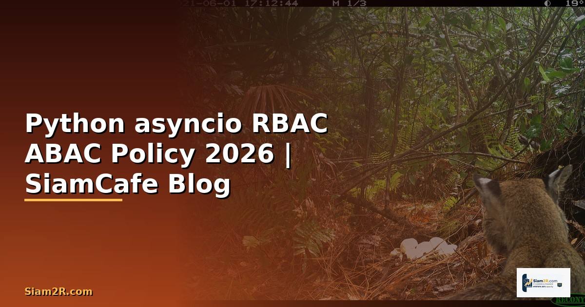 Python asyncio RBAC ABAC Policy