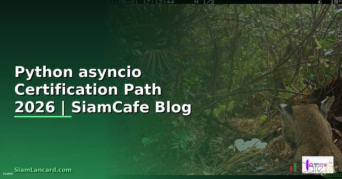 Python asyncio Certification Path