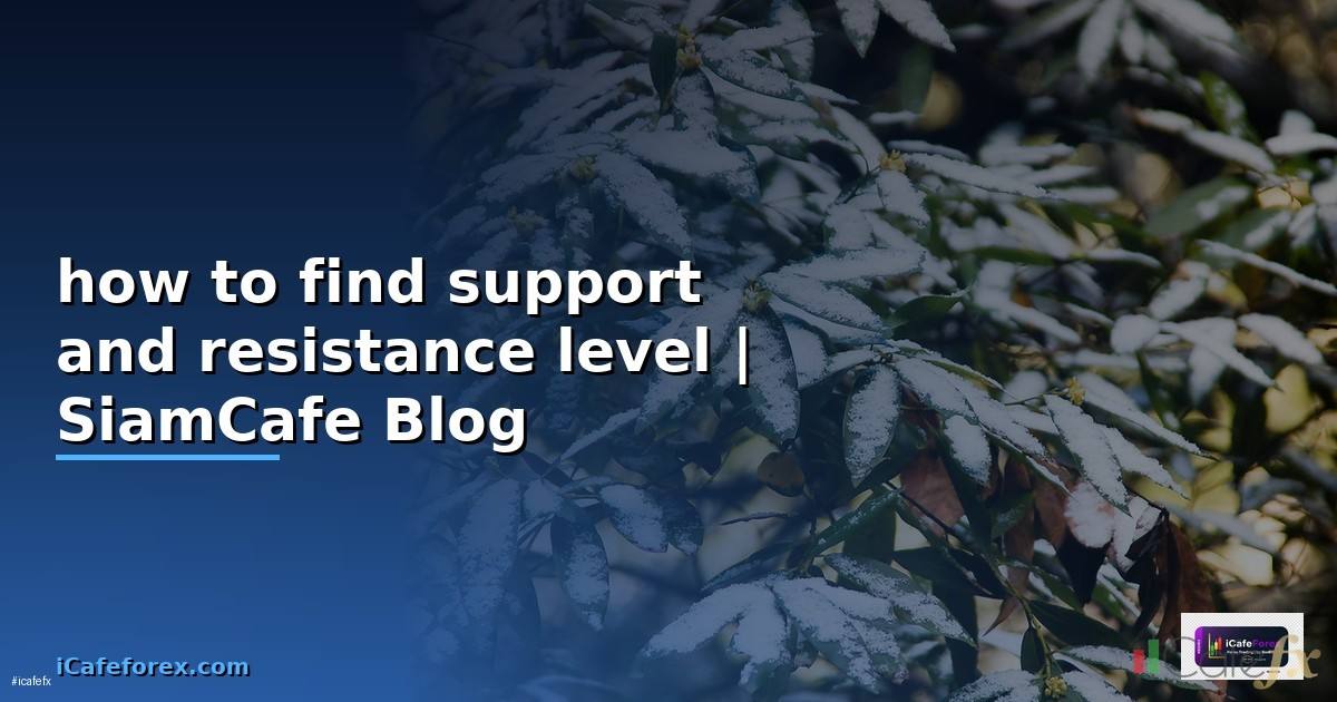 how to find support and resistance level