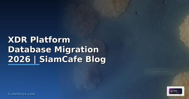 XDR Platform Database Migration — คู่มือฉบับสมบูรณ์ 2026