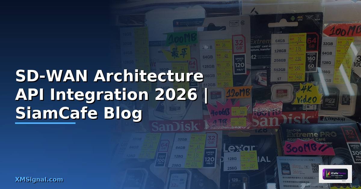SD-WAN Architecture API Integration เชื่อมต่อระบบ