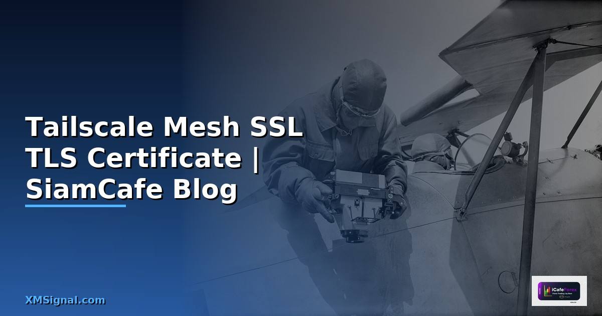 Tailscale Mesh SSL TLS Certificate