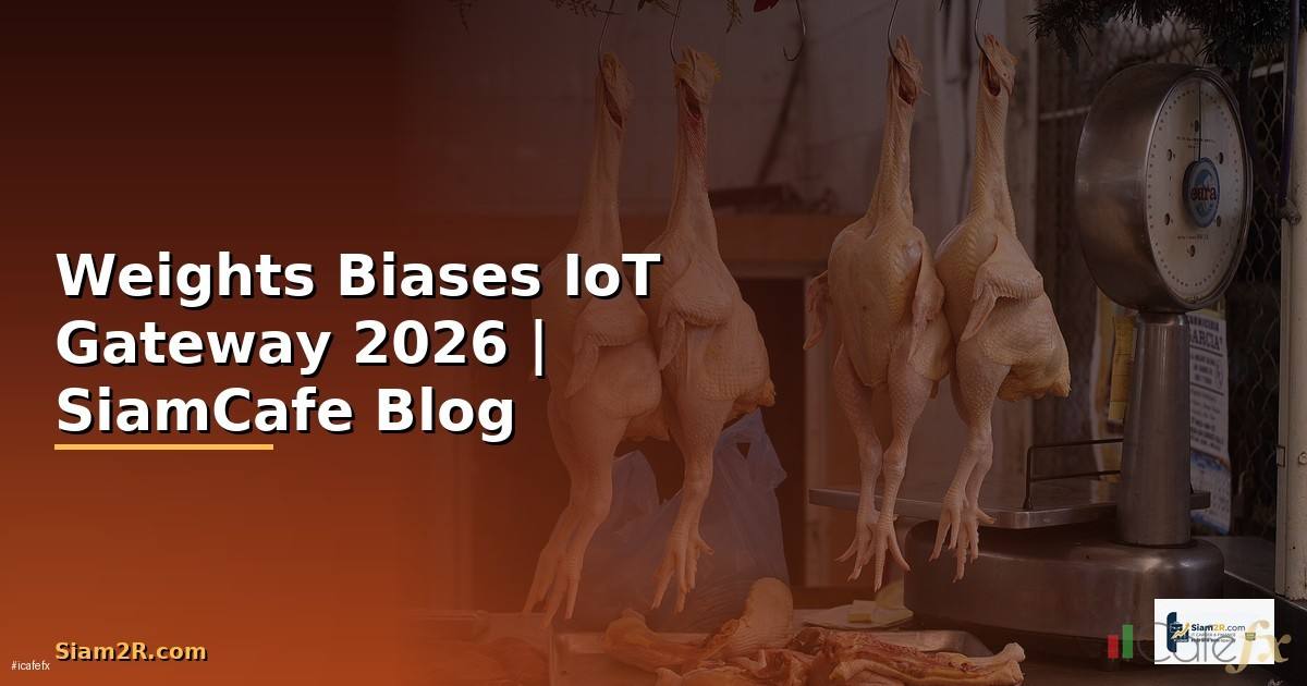 Weights Biases IoT Gateway