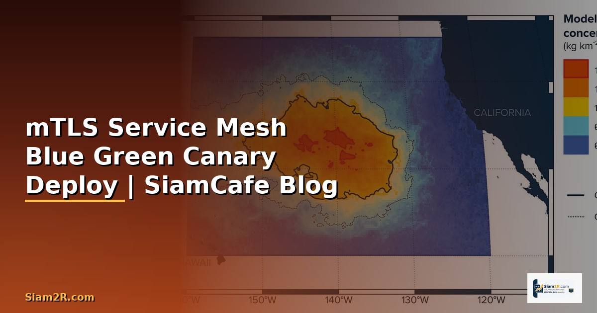 mTLS Service Mesh Blue Green Canary Deploy