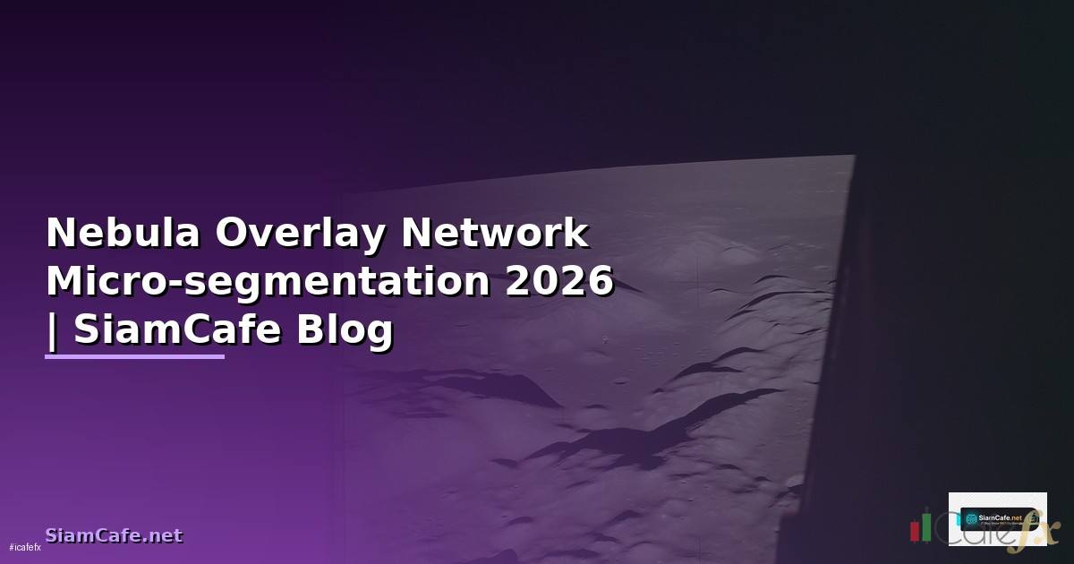 Nebula Overlay Network Micro-segmentation