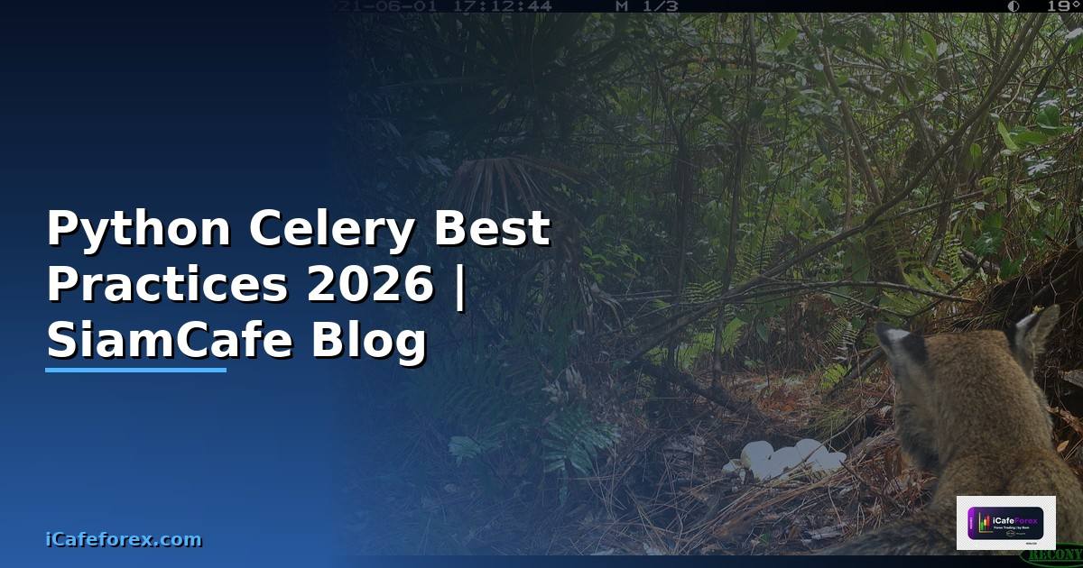 Python Celery Best Practices ที่ต้องรู้