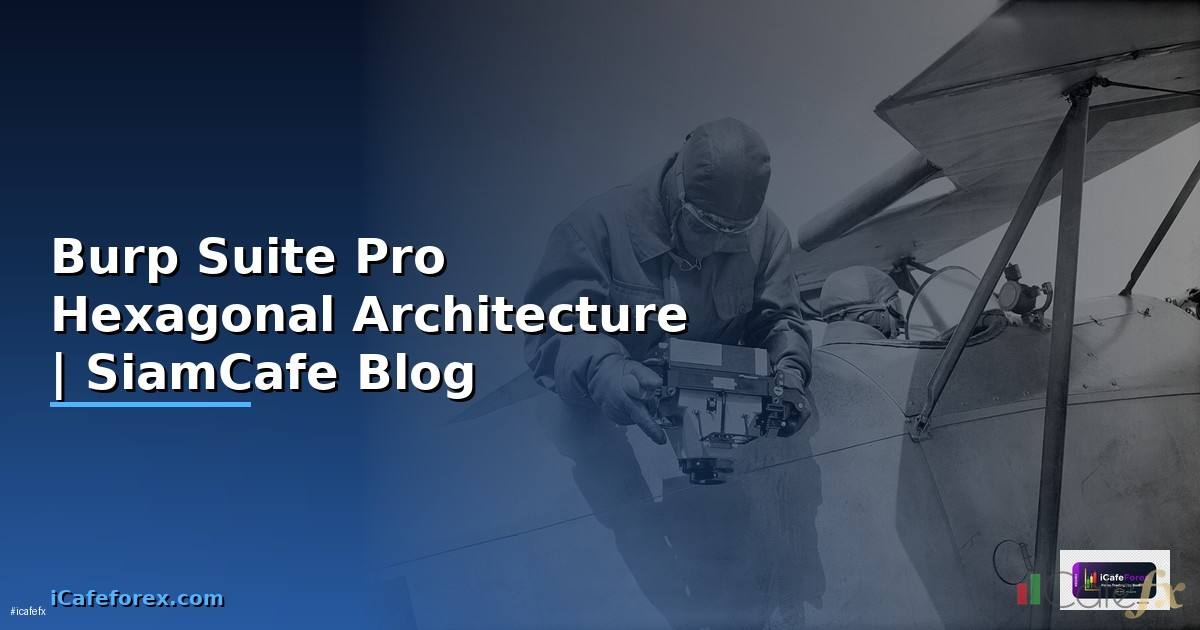 Burp Suite Pro Hexagonal Architecture