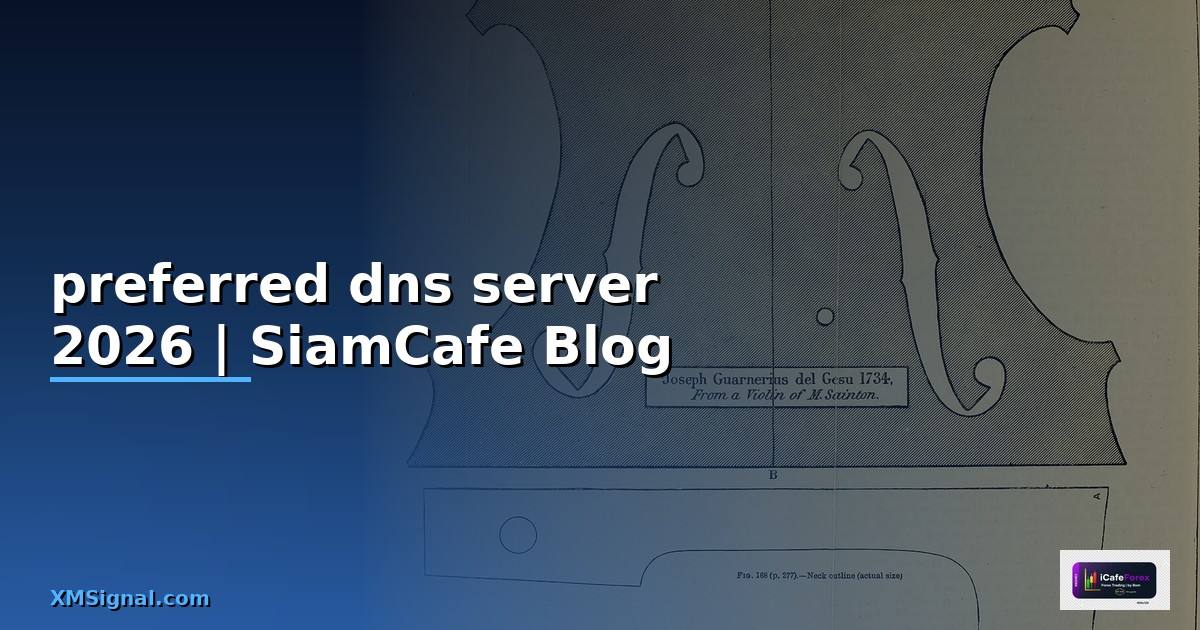 preferred dns server คือ