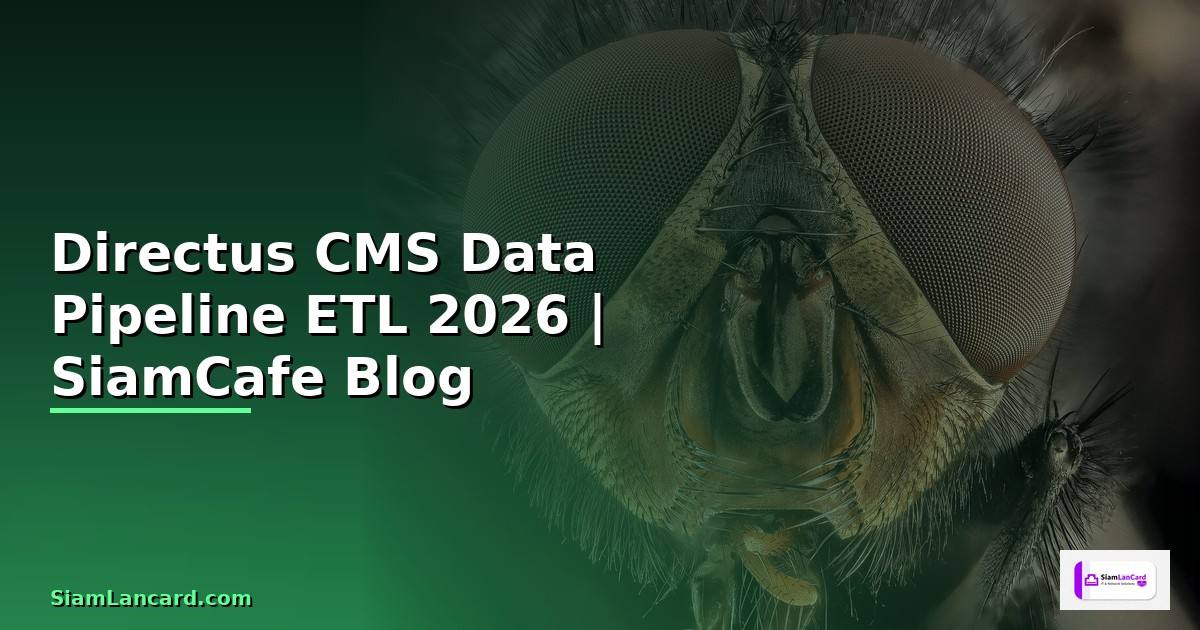 Directus CMS Data Pipeline ETL