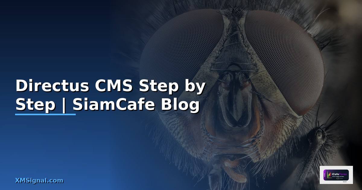 Directus CMS สำหรับมือใหม่ Step by Step