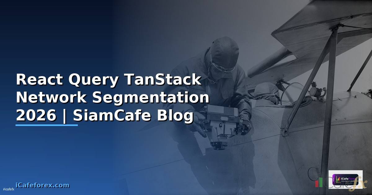 React Query TanStack Network Segmentation