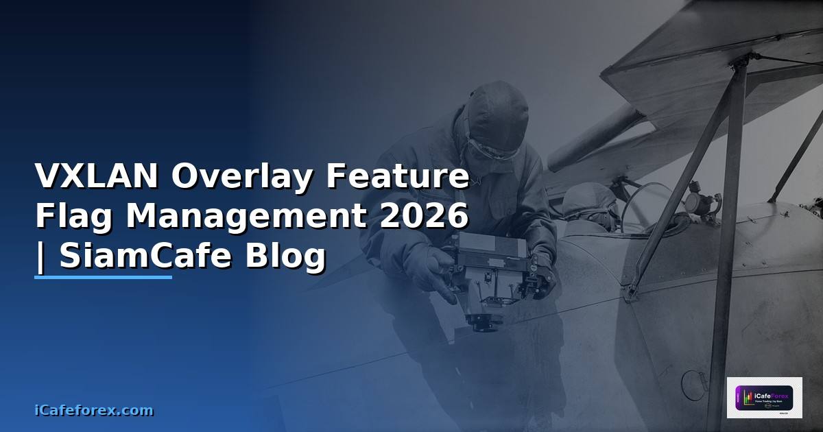 VXLAN Overlay Feature Flag Management