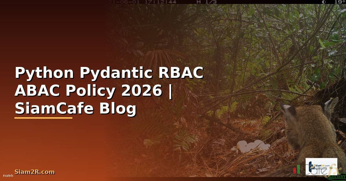 Python Pydantic RBAC ABAC Policy