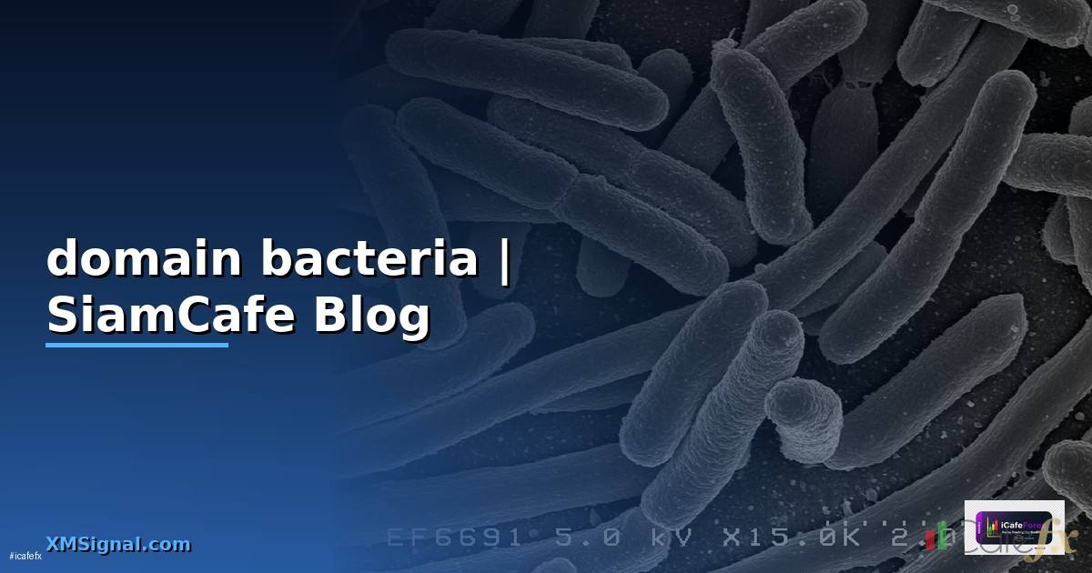 domain bacteria คือ