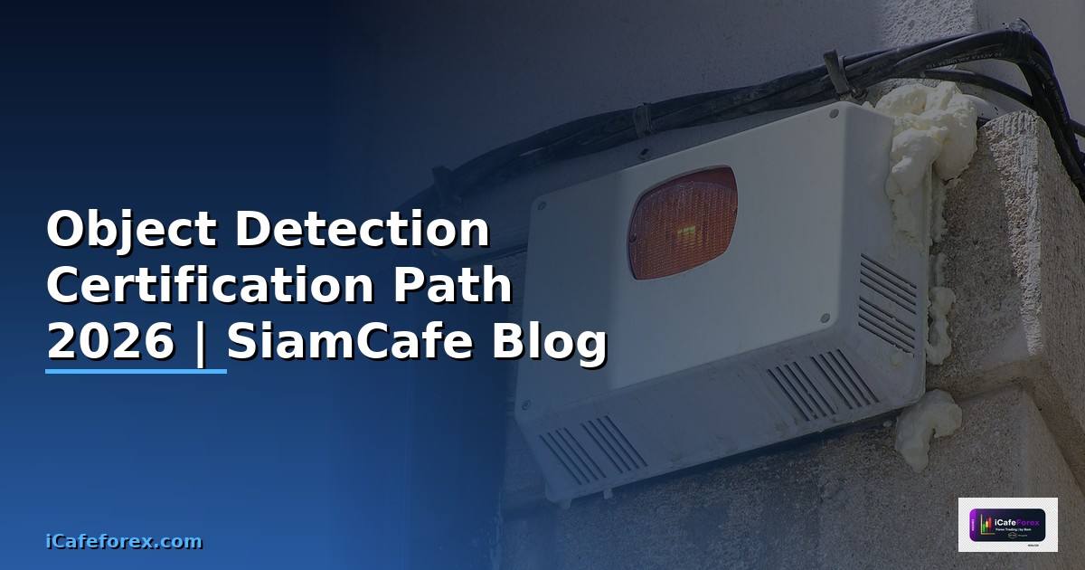 Object Detection Certification Path