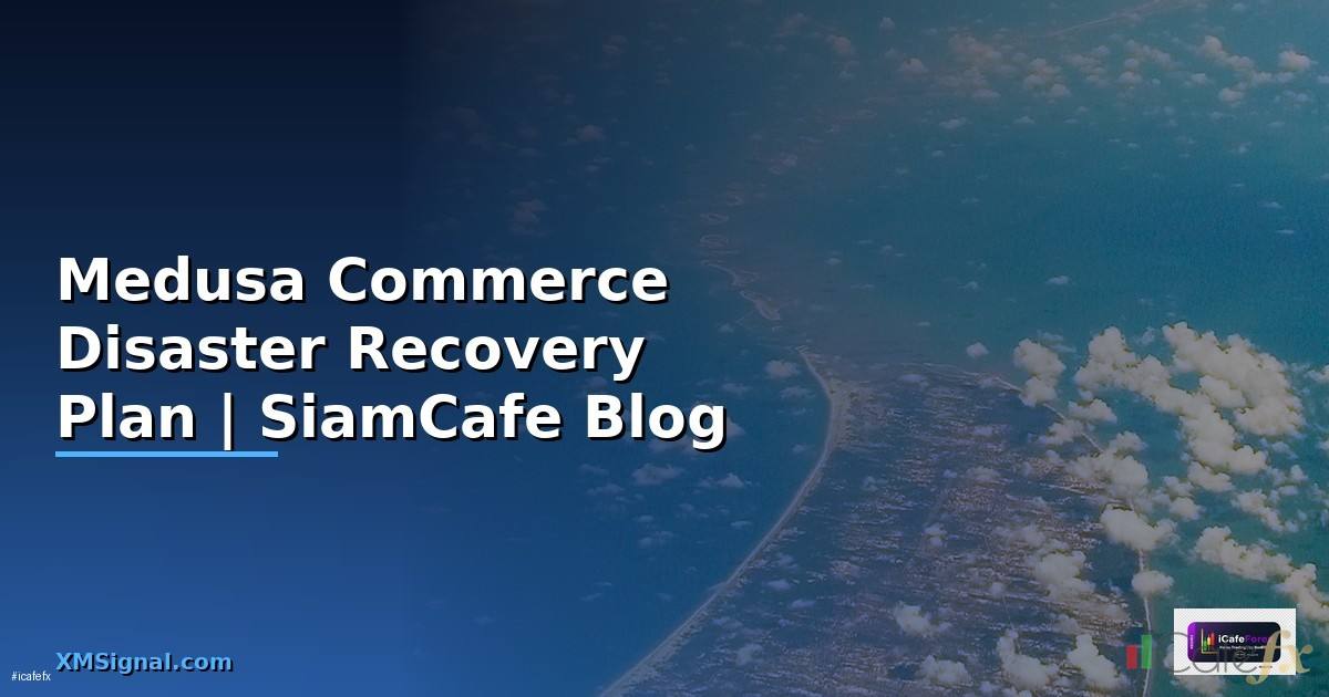 Medusa Commerce Disaster Recovery Plan
