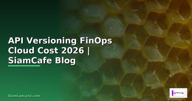 API Versioning FinOps Cloud Cost