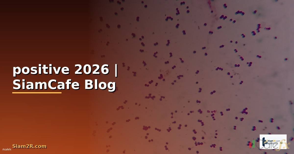 positive แปลว่า — ทุกสิ่งที่ต้องรู้ในปี 2026