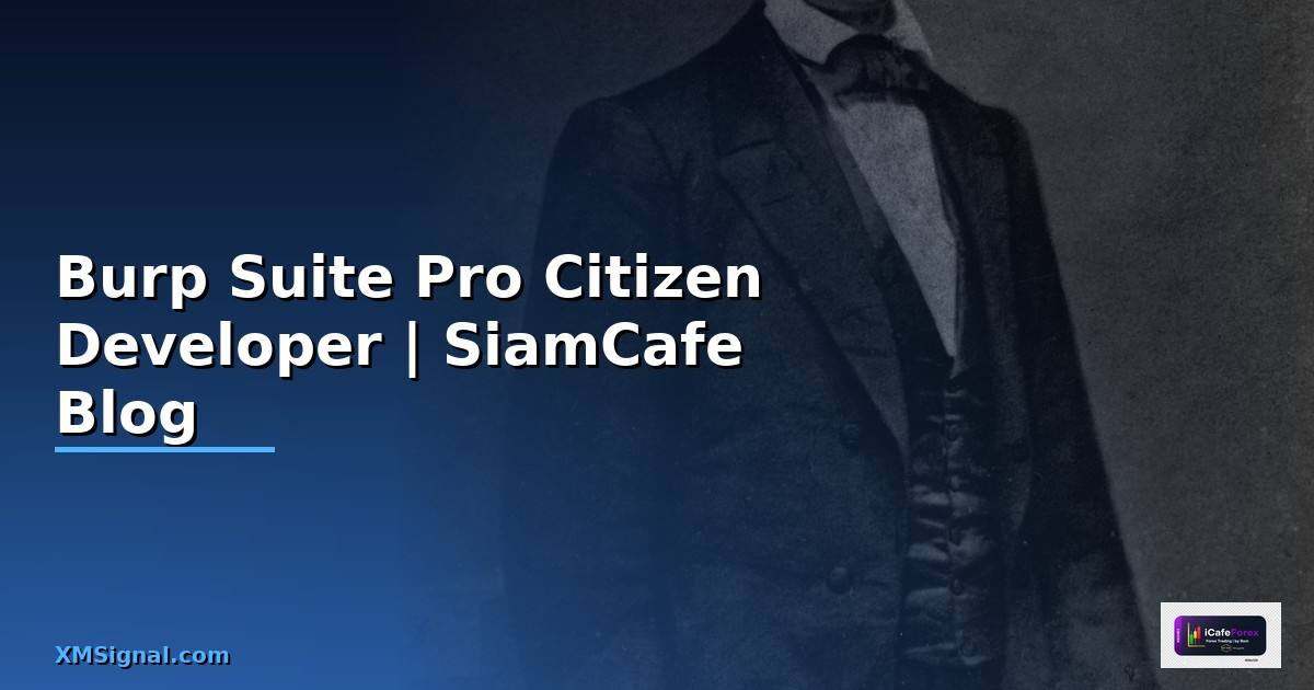 Burp Suite Pro Citizen Developer