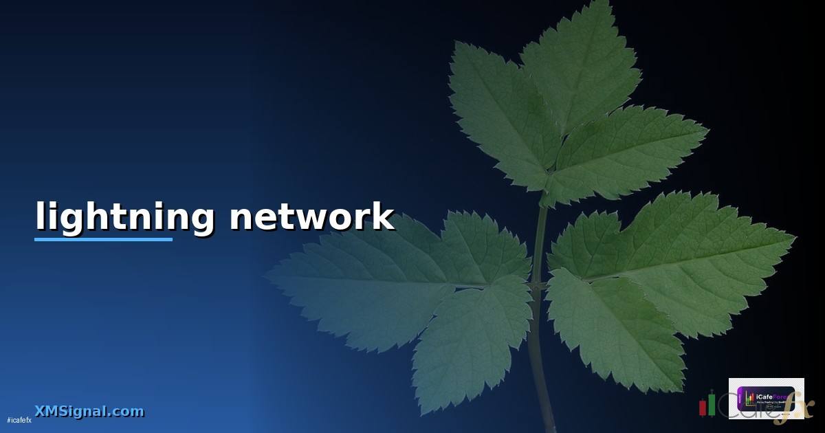 lightning network — ข้อมูลครบถ้วน 2026