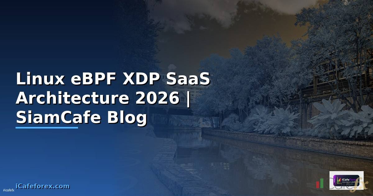 Linux eBPF XDP SaaS Architecture
