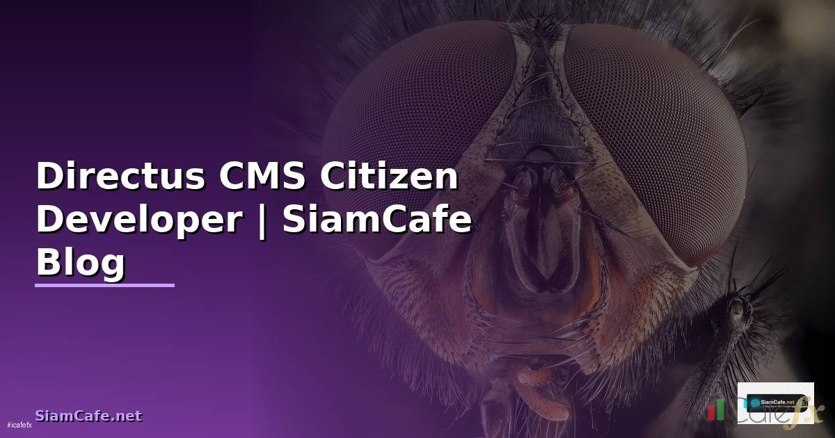 Directus CMS Citizen Developer