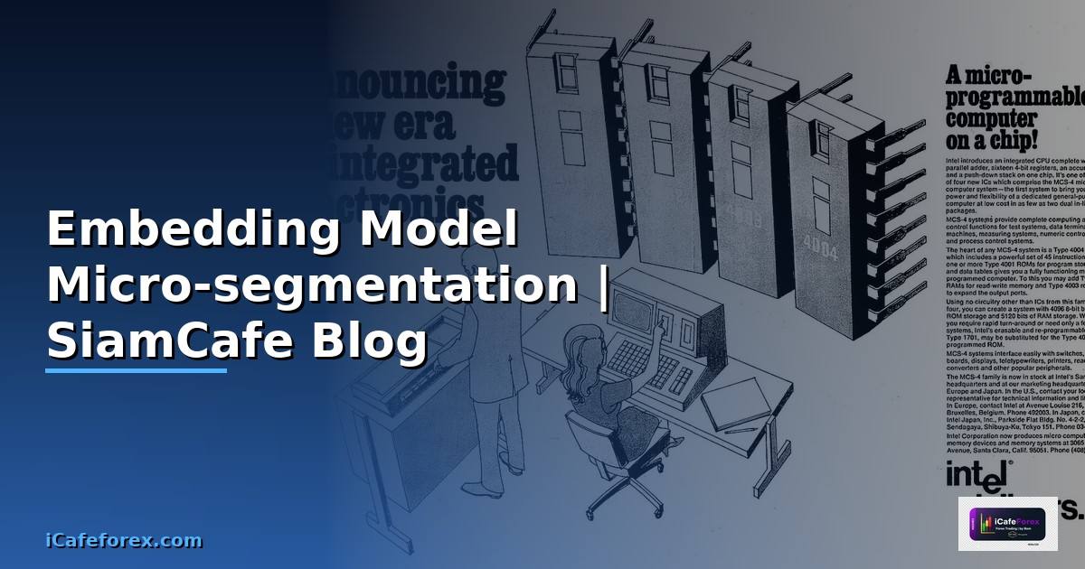 Embedding Model Micro-segmentation