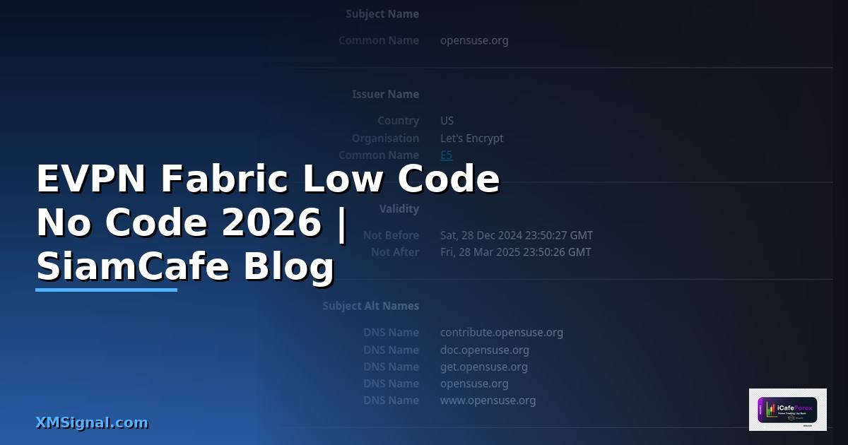 EVPN Fabric Low Code No Code