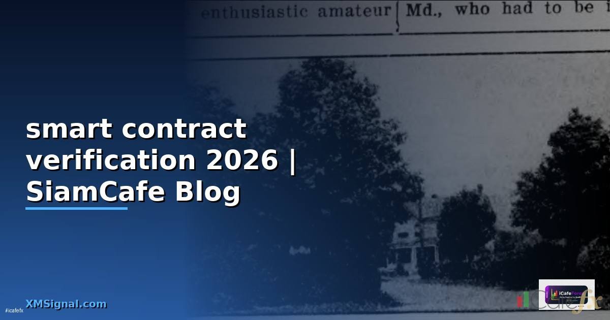 smart contract verification