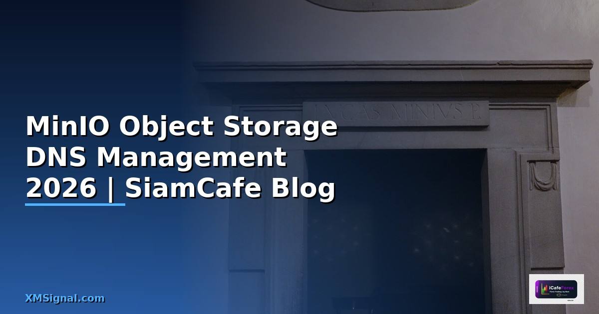 MinIO Object Storage DNS Management