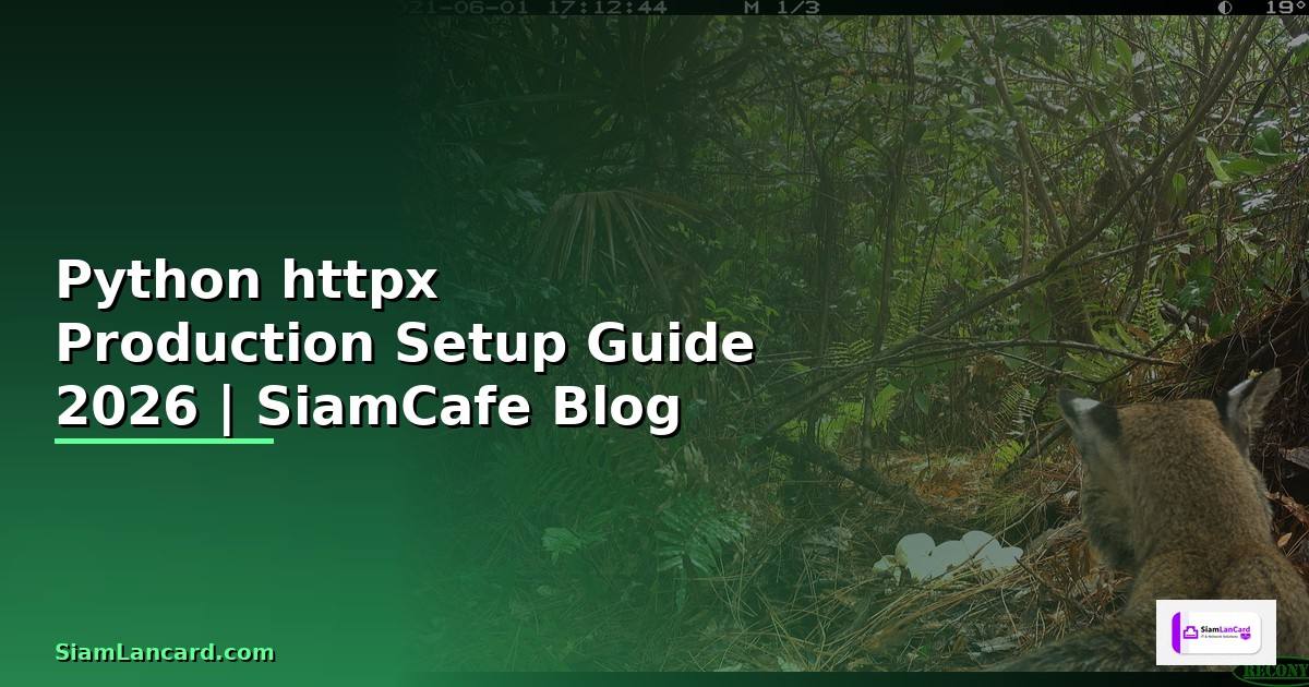 Python httpx Production Setup Guide