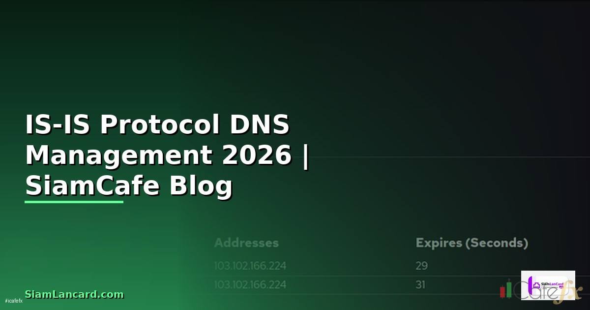 IS-IS Protocol DNS Management — คู่มือฉบับสมบูรณ์ 2026