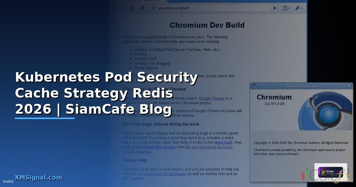 Kubernetes Pod Security Cache Strategy Redis