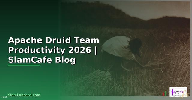 Apache Druid Team Productivity