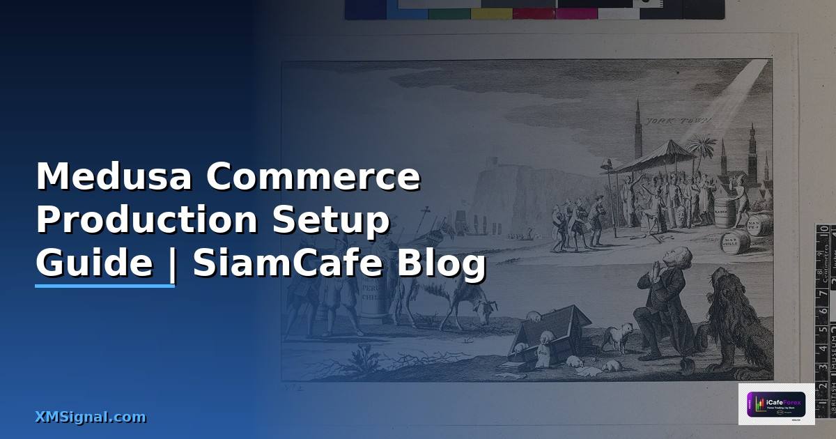 Medusa Commerce Production Setup Guide