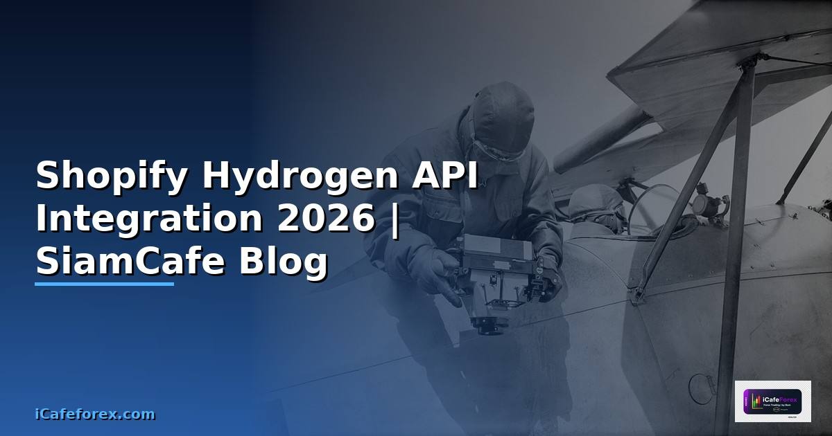 Shopify Hydrogen API Integration เชื่อมต่อระบบ