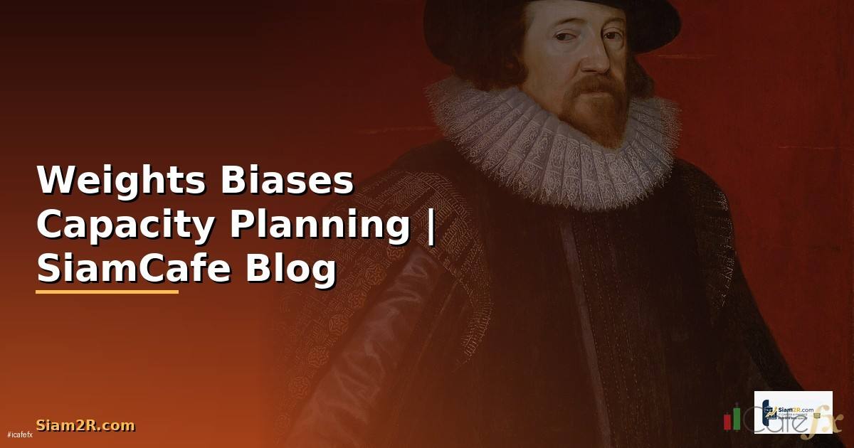 Weights Biases Capacity Planning