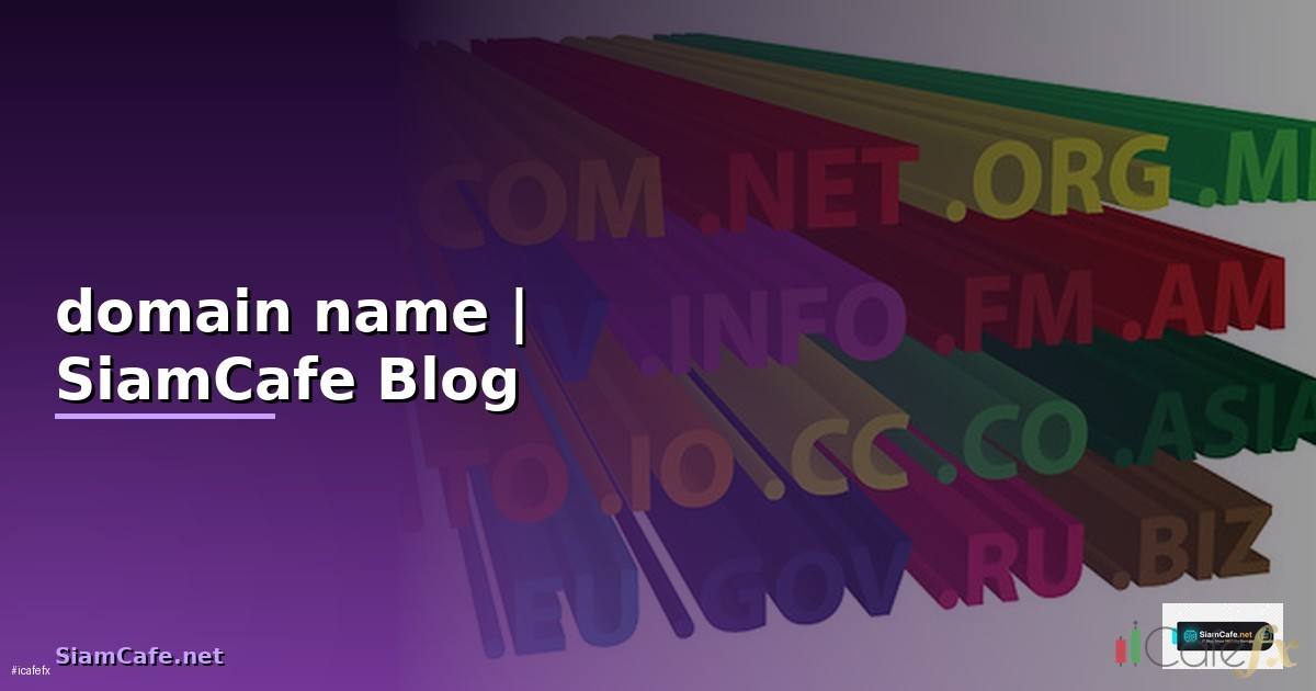 domain name คือวิกิพีเดีย