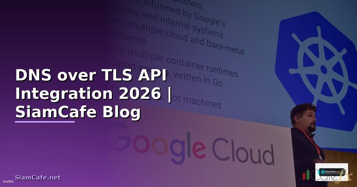 DNS over TLS API Integration เชื่อมต่อระบบ