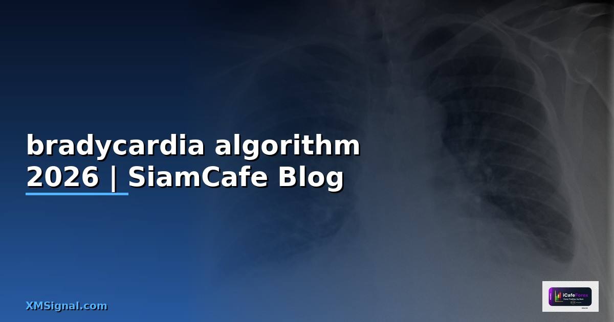 bradycardia algorithm คือ