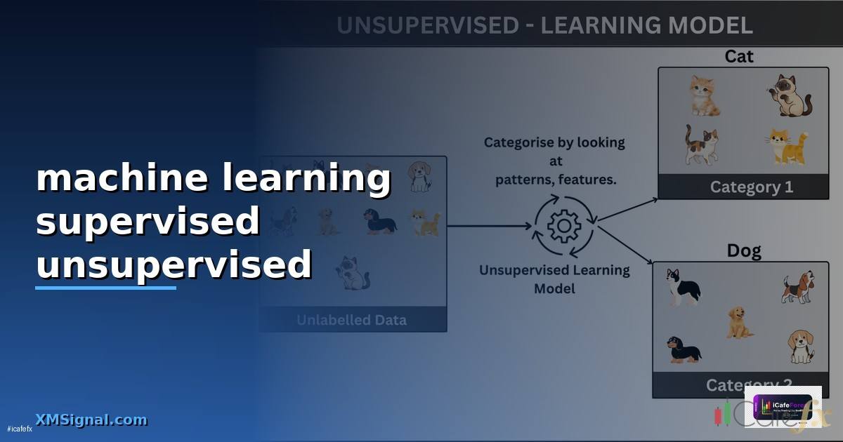 machine learning supervised unsupervised คือ —