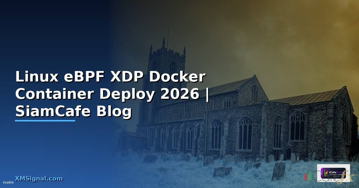 Linux eBPF XDP Docker Container Deploy
