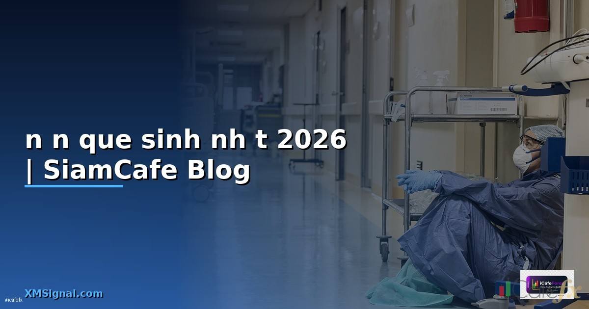nến que sinh nhật — ทุกสิ่งที่ต้องรู้ในปี 2026