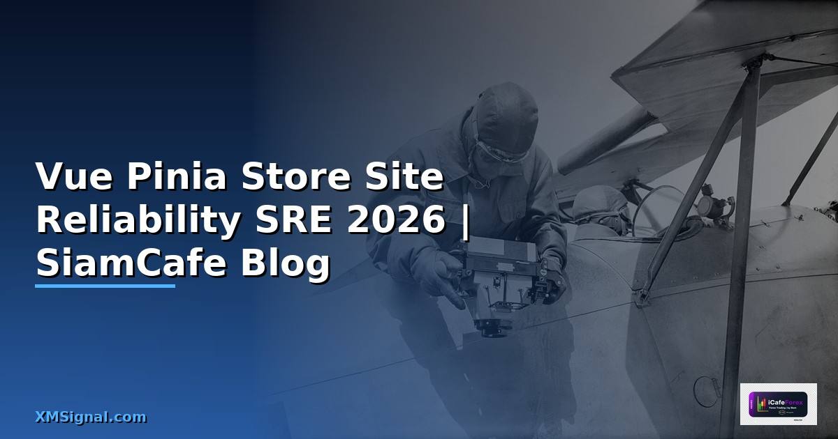 Vue Pinia Store Site Reliability SRE